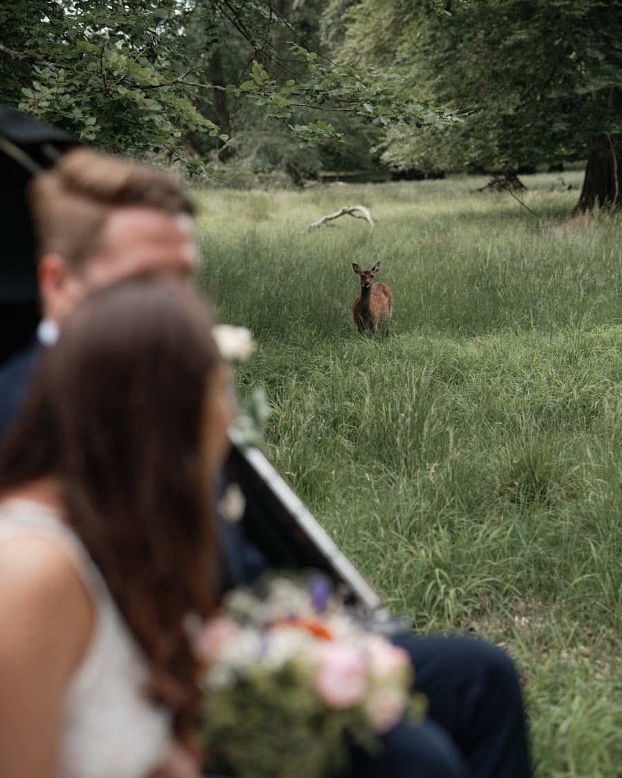 Wedding photo