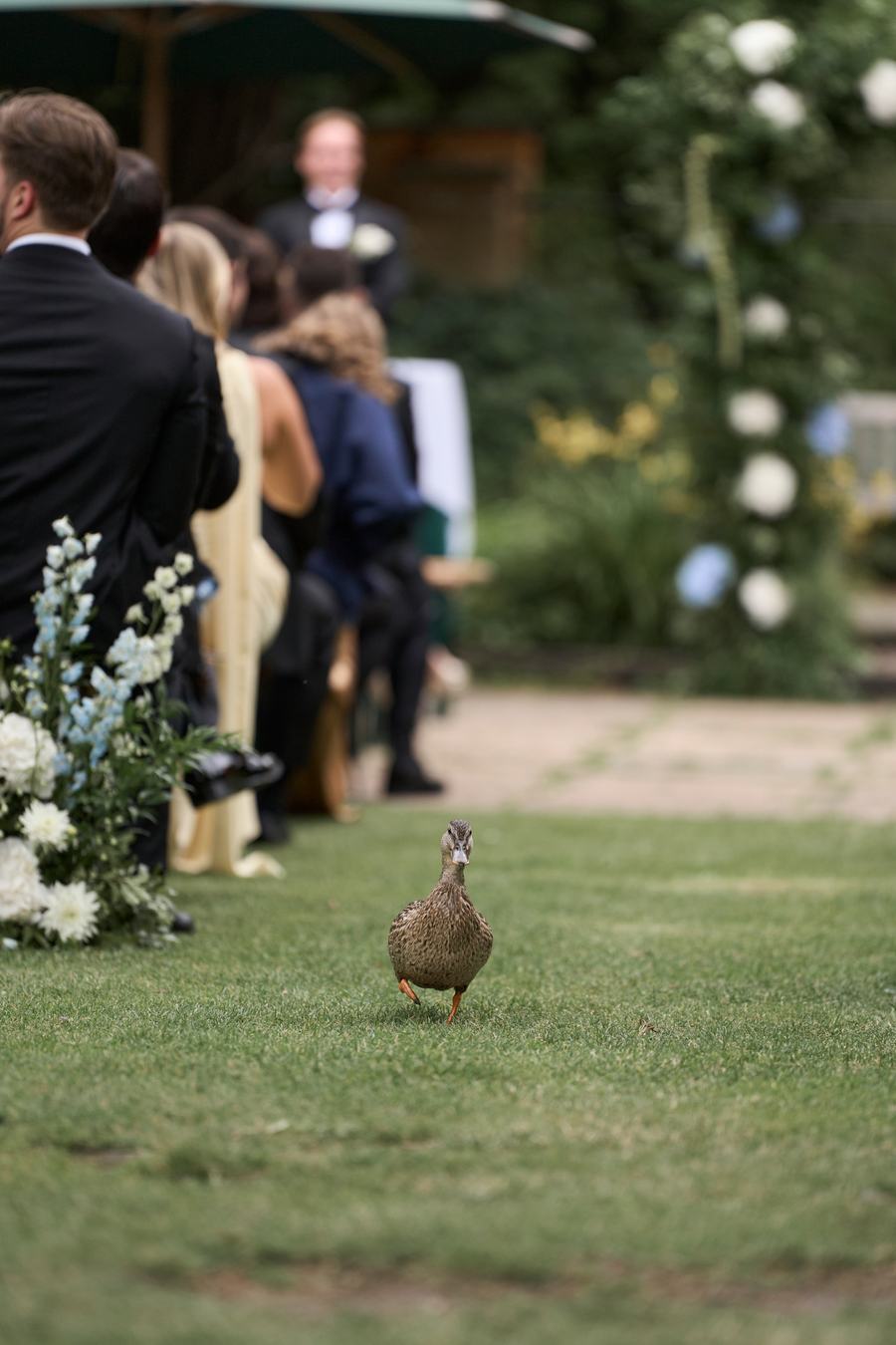 Wedding photo